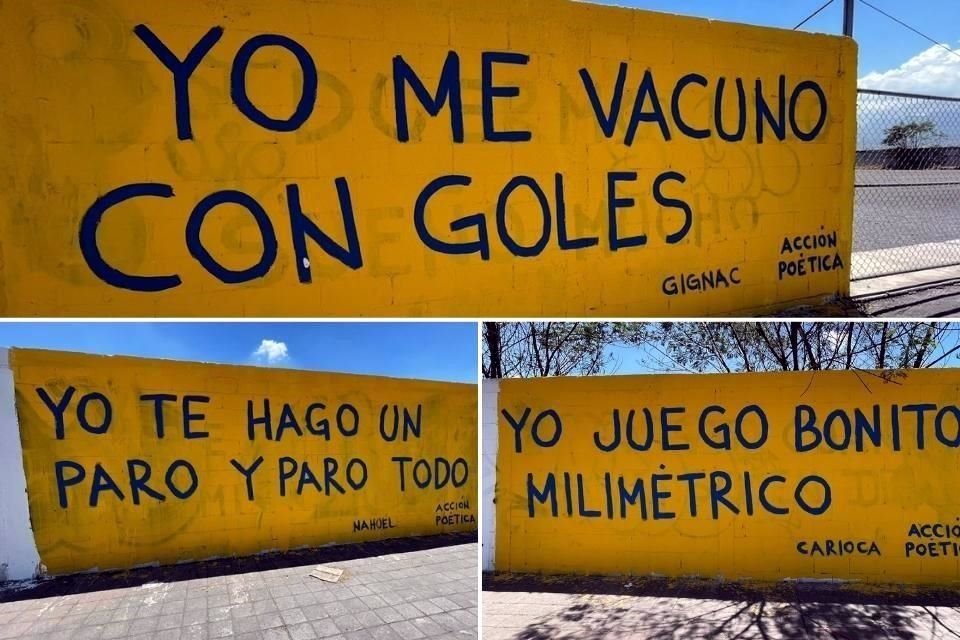 Estas son las frases con las que aficionados de Tigres muestran su admiración hacia algunos jugadores.