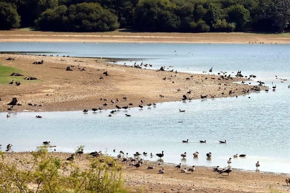 El embalse Bough Beech cerca de Sevenoaks en Kent, al sureste de Londres, muestra bajos niveles de agua.