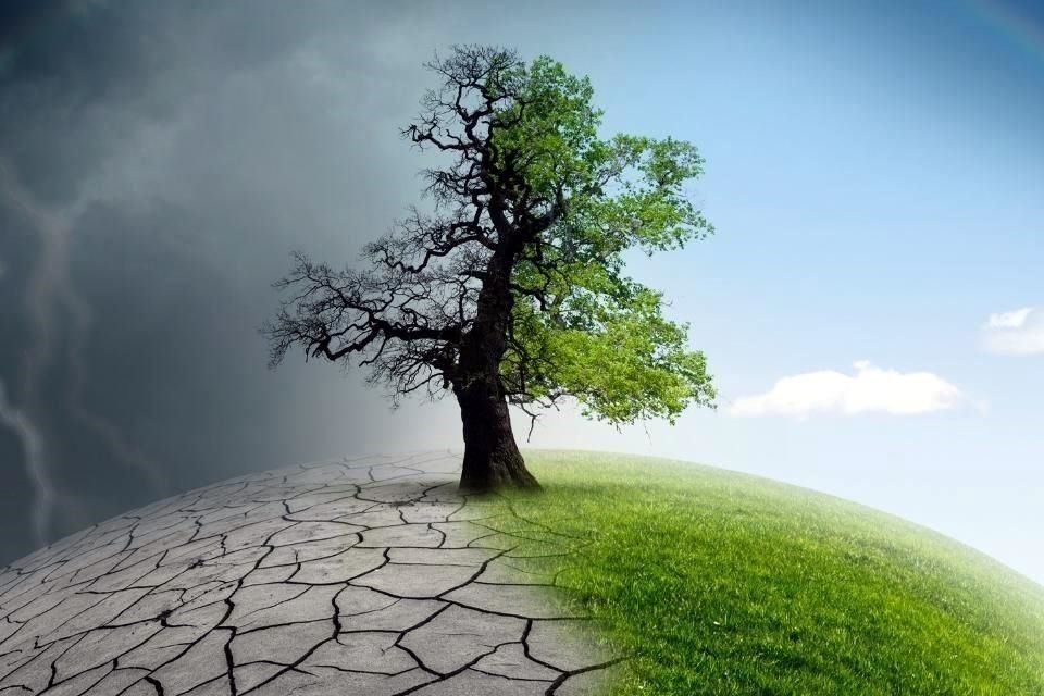 El ensayo 'Afectividad ambiental. Sensibilidad, empatía y estéticas del habitar', de Omar Felipe Giraldo e Ingrid Toro, plantea una revolución afectiva para enfrentar la catástrofe actual.