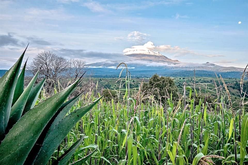 Cada vez son más los viajeros que practican agroturismo y turismo rural.