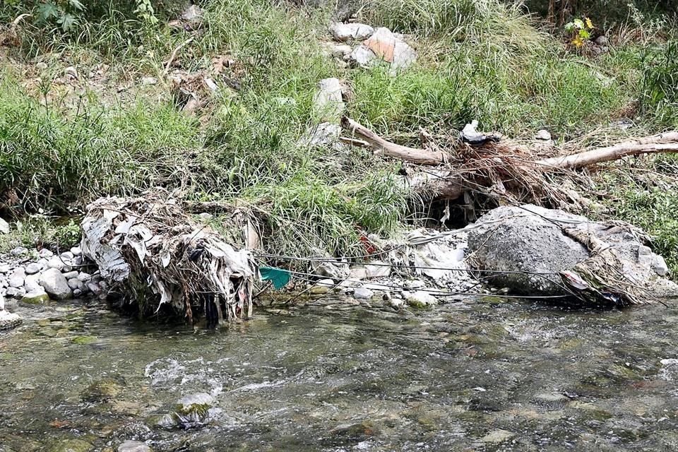 Las áreas verdes presentan acumulación de desechos y en algunas partes se registran malos olores.