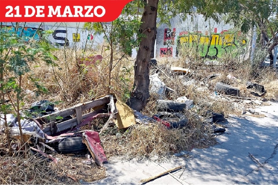 El terreno ubicado en Bernardo Reyes y Alfonso Reyes sigue en las mismas condiciones.