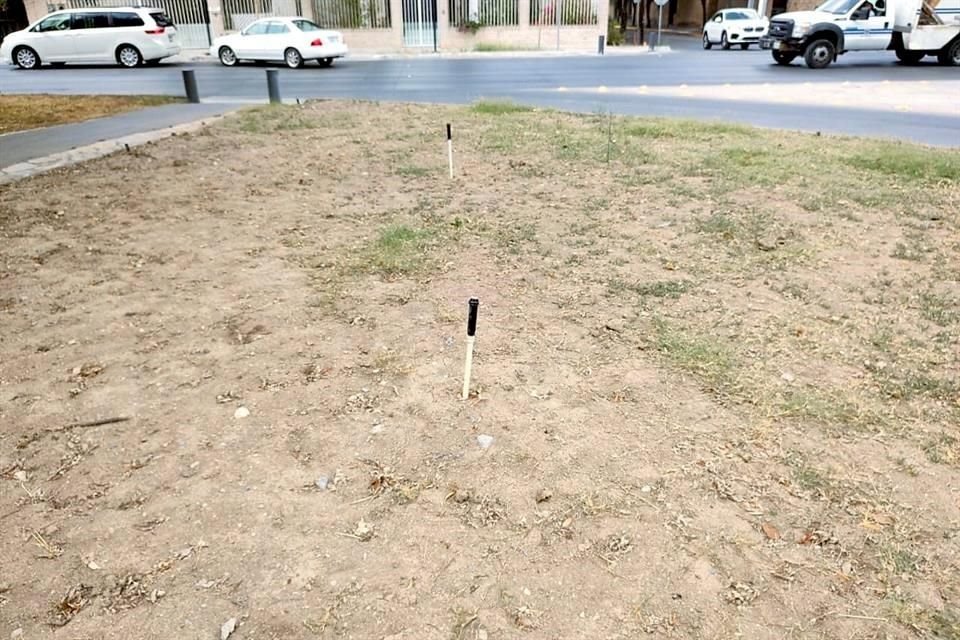 Los sistemas de riego por aspersión que están sobre la Calzada actualmente no funcionan por la falta de agua.