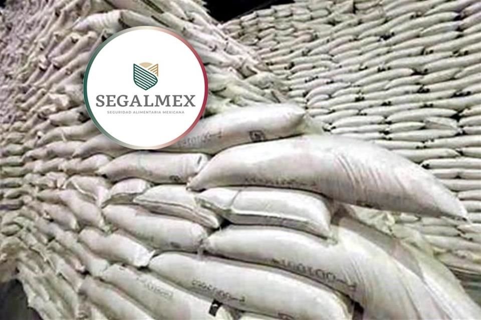 Hugo Buentello Carbonell, ex subdirector de Liconsa que ha sido señalado por corrupción en Segalmex, fue detenido por autoridades federales.