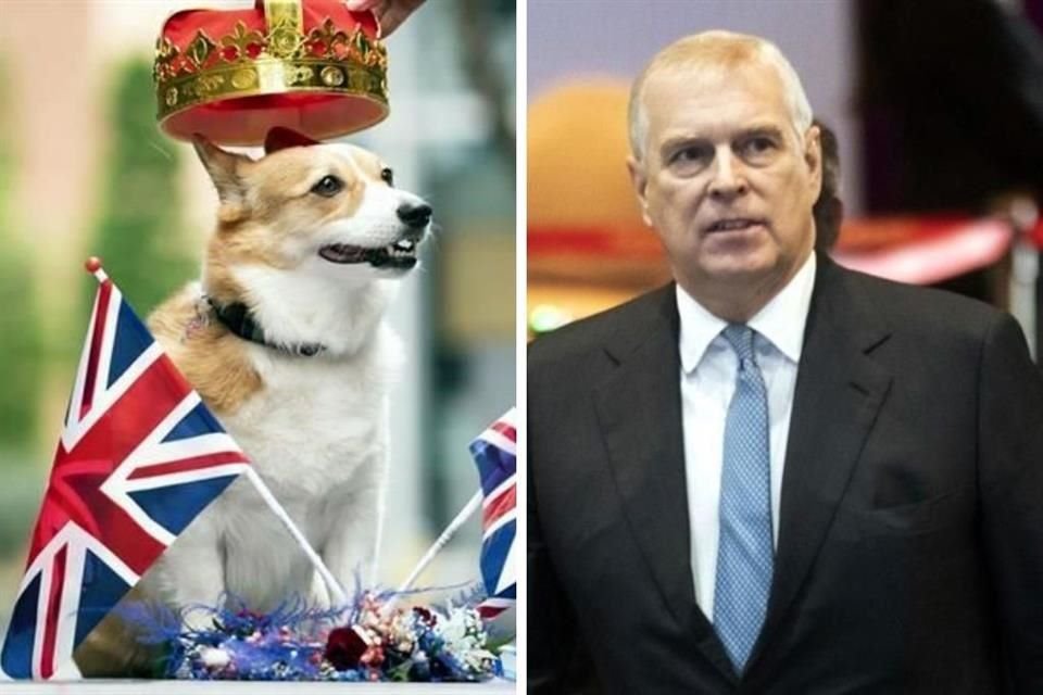 Los dos perros corgis que le pertenecían a la Reina Isabel II fueron adoptados por su hijo, el Príncipe Andrés de York.