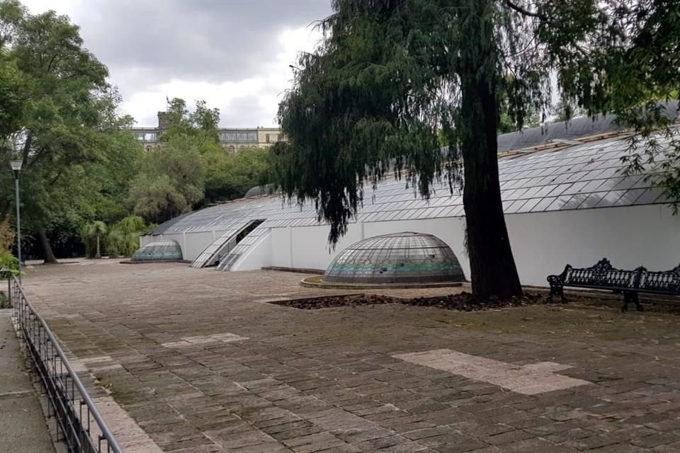 Aunque se anunció el nombre del arquitecto que diseñará un pabellón cultural en el actual Jardín Botánico, vecinos desconocen el proyecto.