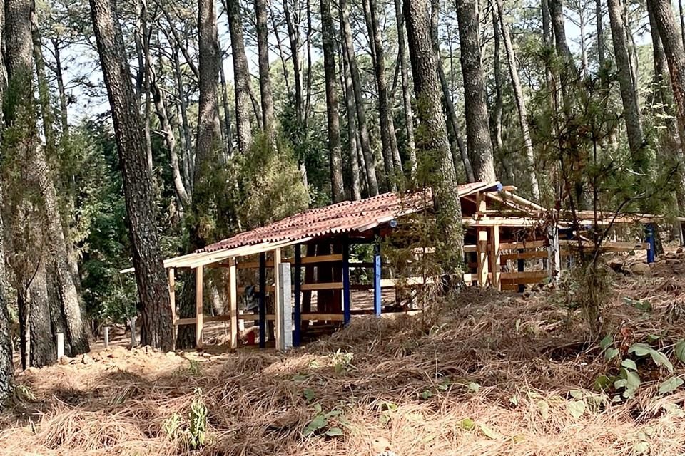 Grupos del crimen organizado que operan en Cuernavaca invaden zonas boscosas del Parque Nacional de El Tepozteco, acusaron funcionarios.