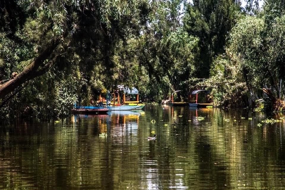 Visita las chinampas, toma un respiro y apoya el trabajo de productores locales.