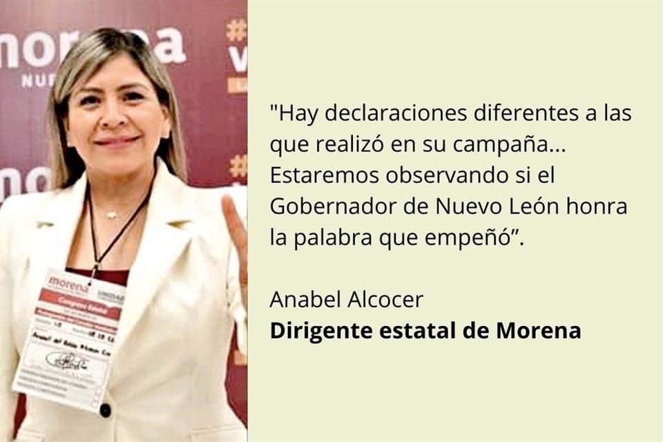 Anabel Alcocer, Dirigente estatal de Morena.