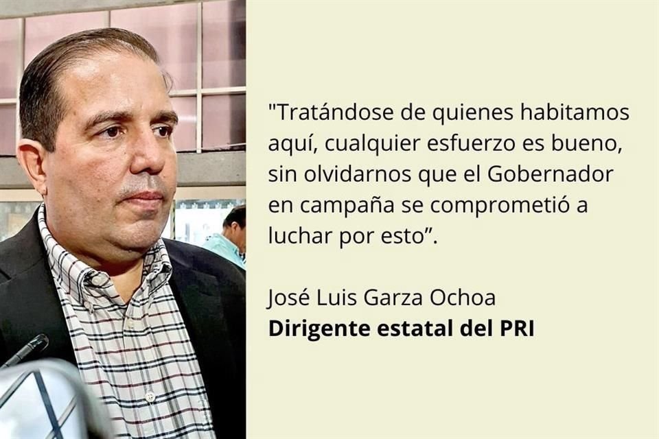 José Luis Garza Ochoa, Dirigente estatal del PRI.