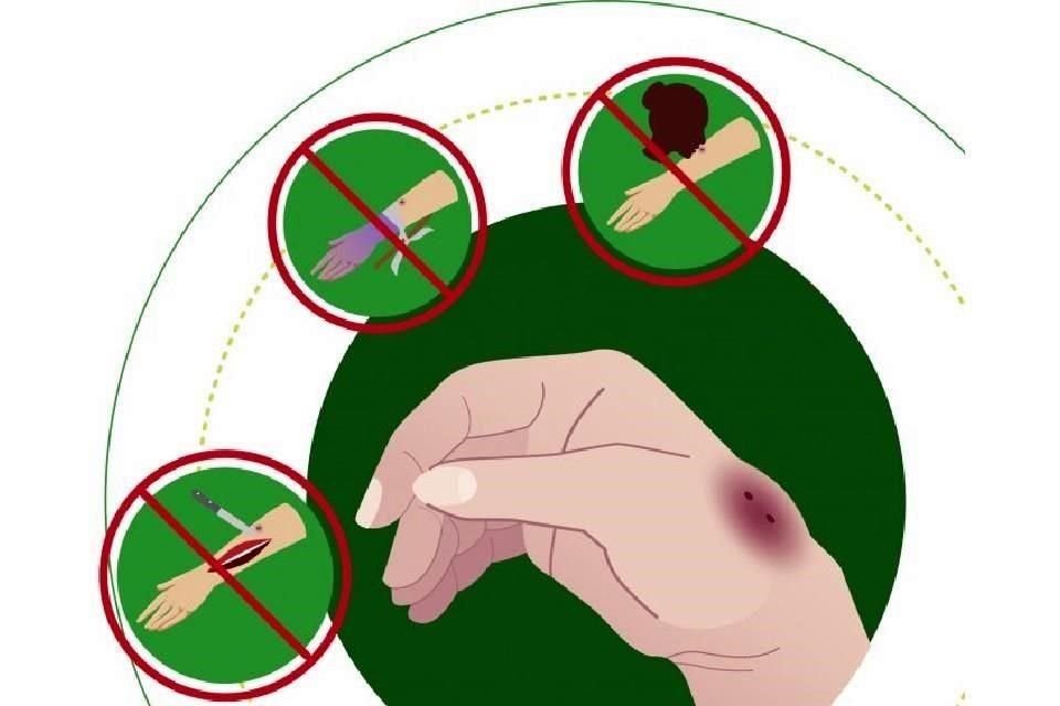 Redtox brinda opciones de prevención y auxilio ante una picadura de un animal ponzoñoso.