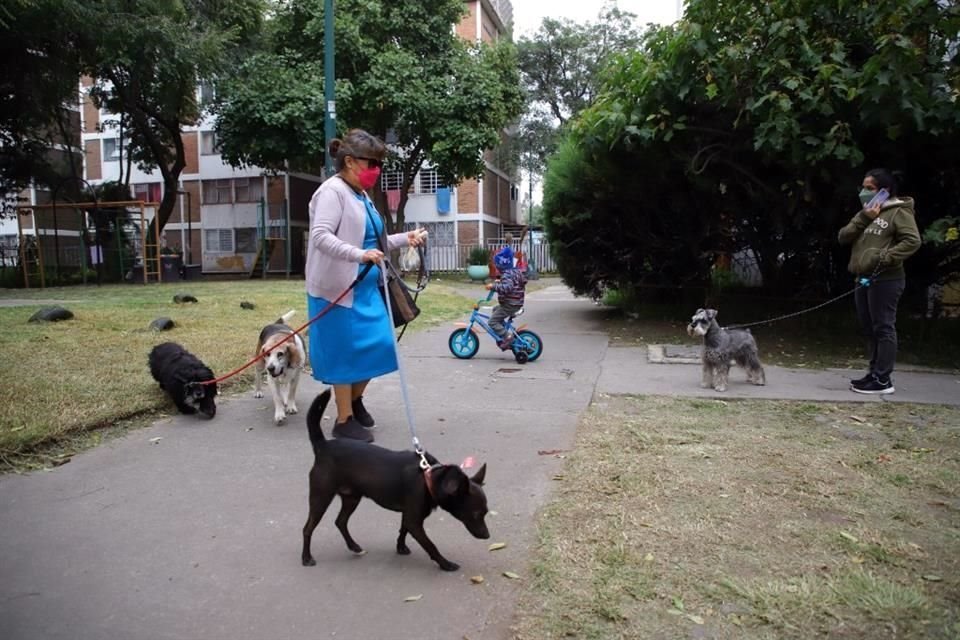 El Presupuesto Participativo 2022 será utilizado para construir el primer parque para mascotas en una unidad habitacional, en Villa Coapa.