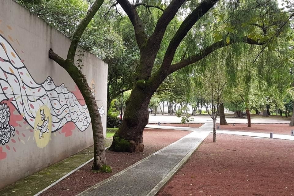 El Jardín Botánico de la Primera Sección de Chapultepec es un área de valor ambiental. 