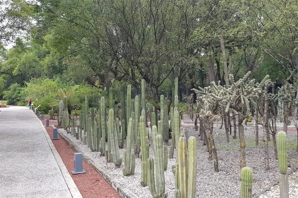 El espacio de 5.3 hectáreas fue inaugurado en 2006 y ofrece una colección de plantas nativas e introducidas. 