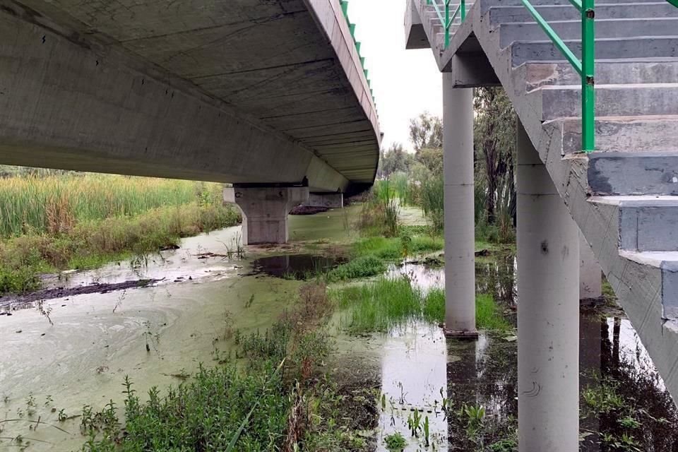 El sitio donde fue construido el distribuidor vial de Cuemanco, en una zona de humedales, favorece inundaciones, aseguran especialistas.