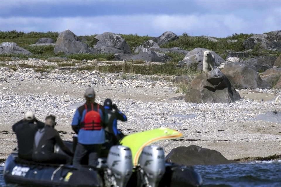 Churchill es un asentamiento aislado en la costa de la Bahía de Hudson, donde el calentamiento global es tres veces más rápido que en otras partes del mundo.