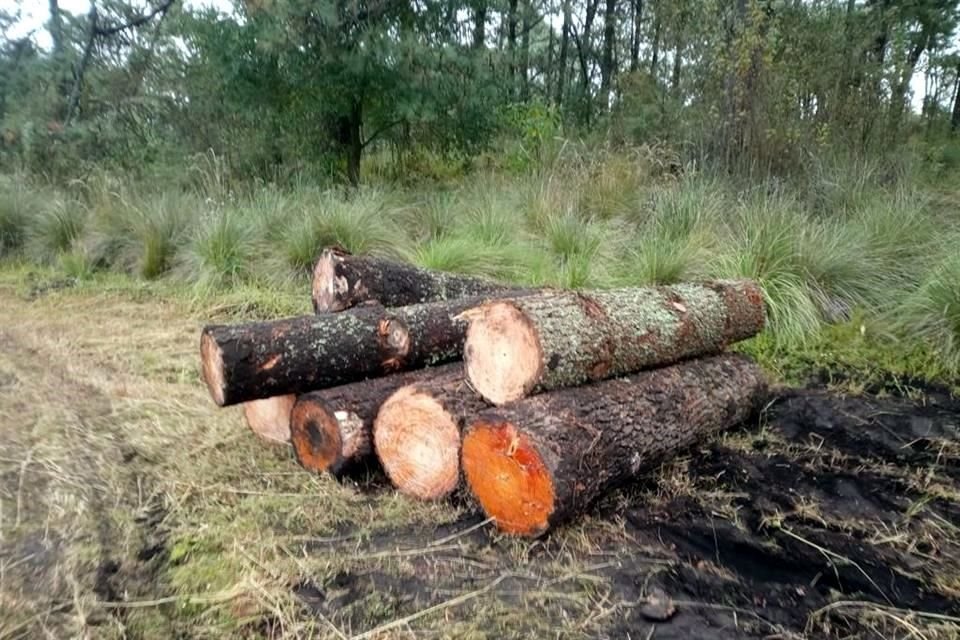 La Reforma modifica el artículo 345 bis del Código Penal del Distrito Federal y pretende que la pena máxima por este delito pase de 2 mil días de multa a 5 mil días de multa y hasta ocho años de prisión. 