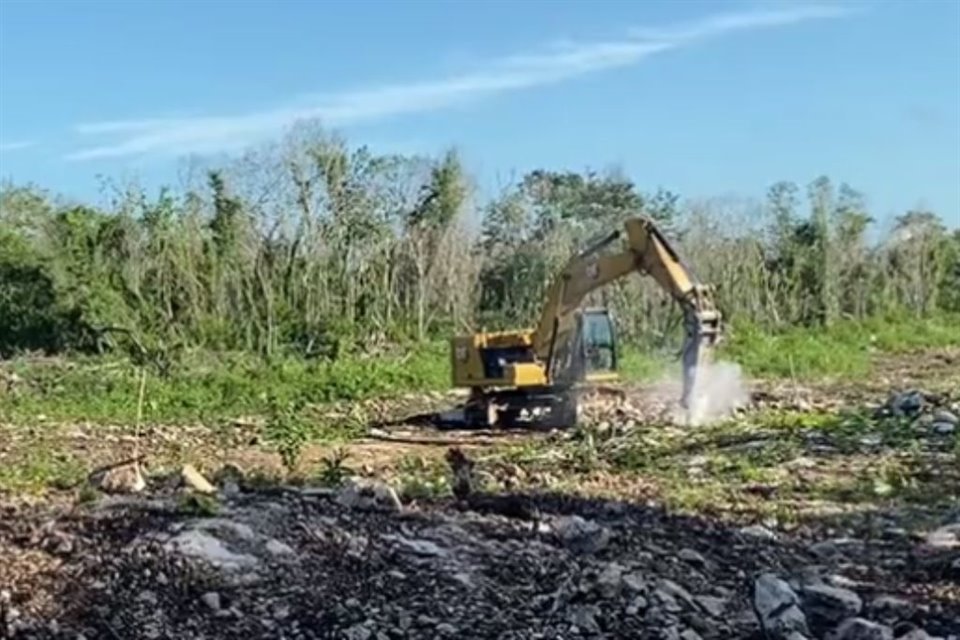 Activistas y especialistas ambientales acudieron a zona de obras del Tren Maya en Solidaridad, Quintana Roo, para protestar y recordar que AMLO prometió que no se derribaría ni un sólo árbol.