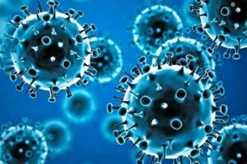 Un total de seis variantes del virus que causa Covid-19 compiten para convertirse en la próxima cepa dominante en América del Norte.