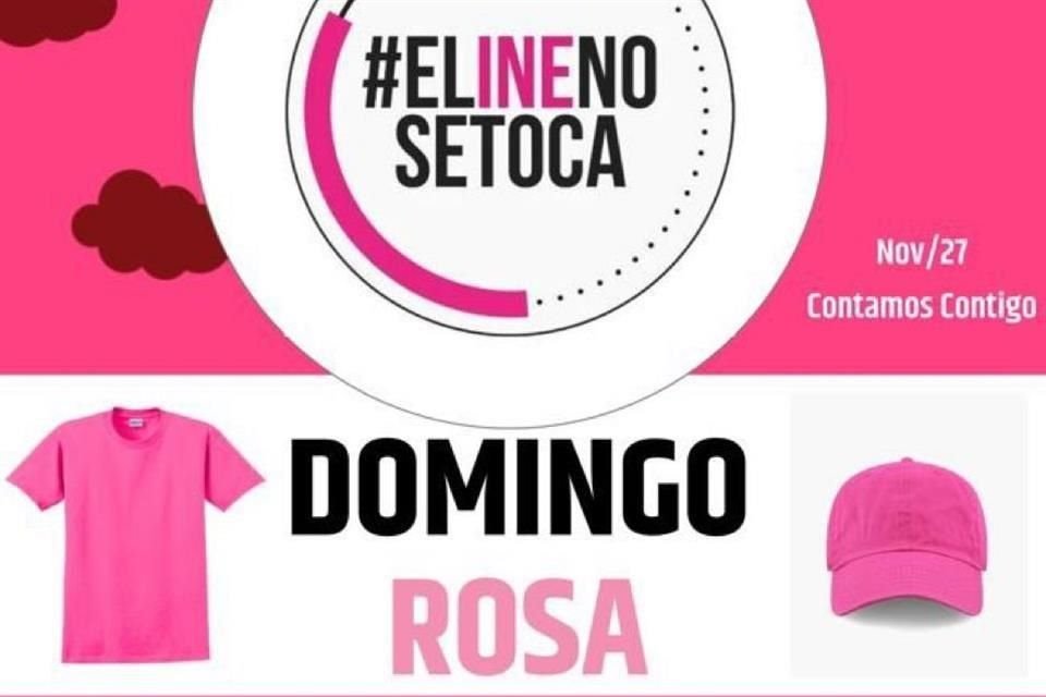 Las agrupaciones ciudadanas y activistas en defensa del INE llamaron a los ciudadanos a vestir de rosa el próximo domingo 27 de noviembre.
