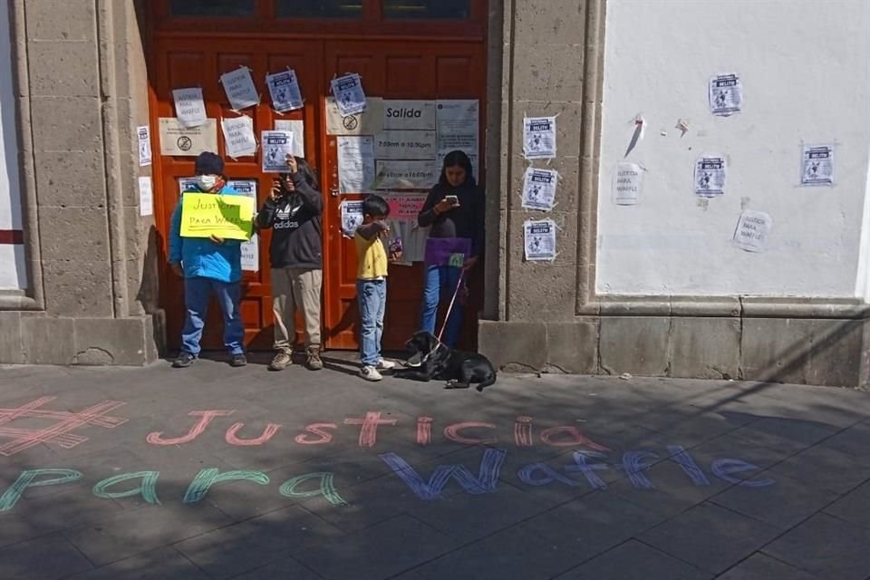 De acuerdo con habitantes, el hecho se registró el 24 de diciembre, cuando dos sujetos vieron al can en la calle Aguascalientes, en el Barrio San Mateo.