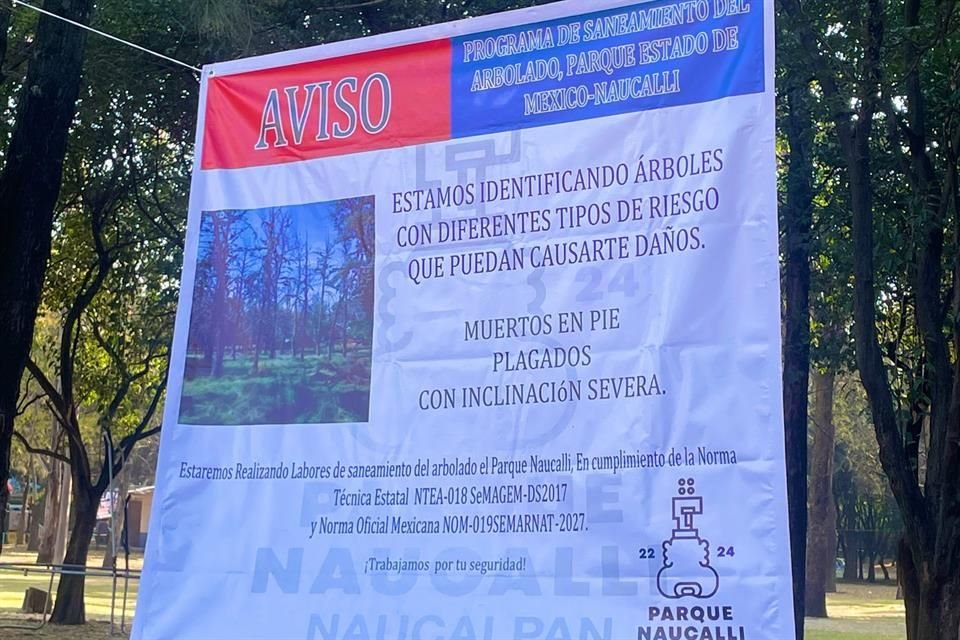 El Ayuntamiento retiró 75 árboles del Parque Naucalli por tener una plaga y poner en riesgo a los visitantes.