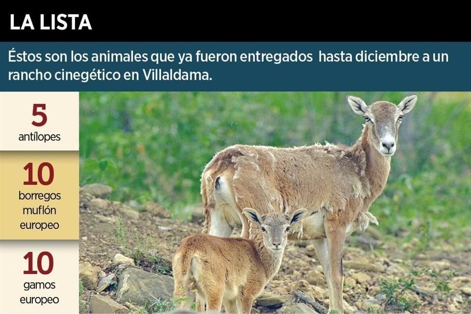 La Pastora donará un total de 38 animales a un rancho cinegético de Villaldama, lo que fue cuestionado.