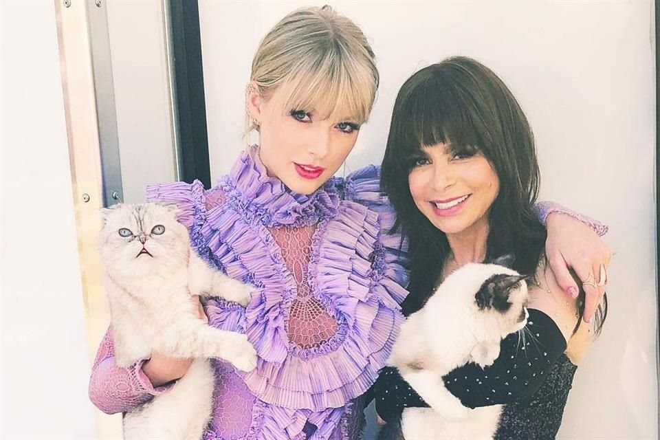 ¡Otro récord! Olivia Benson, la mascota de Taylor Swift, fue valuada en 97 millones de dólares.