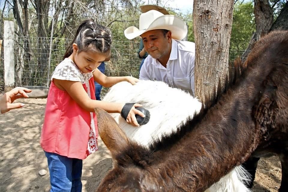 Los investigadores buscan validar que la terapia con burros es una alternativa económica, pero igualmente efectiva, a la equinoterapia.