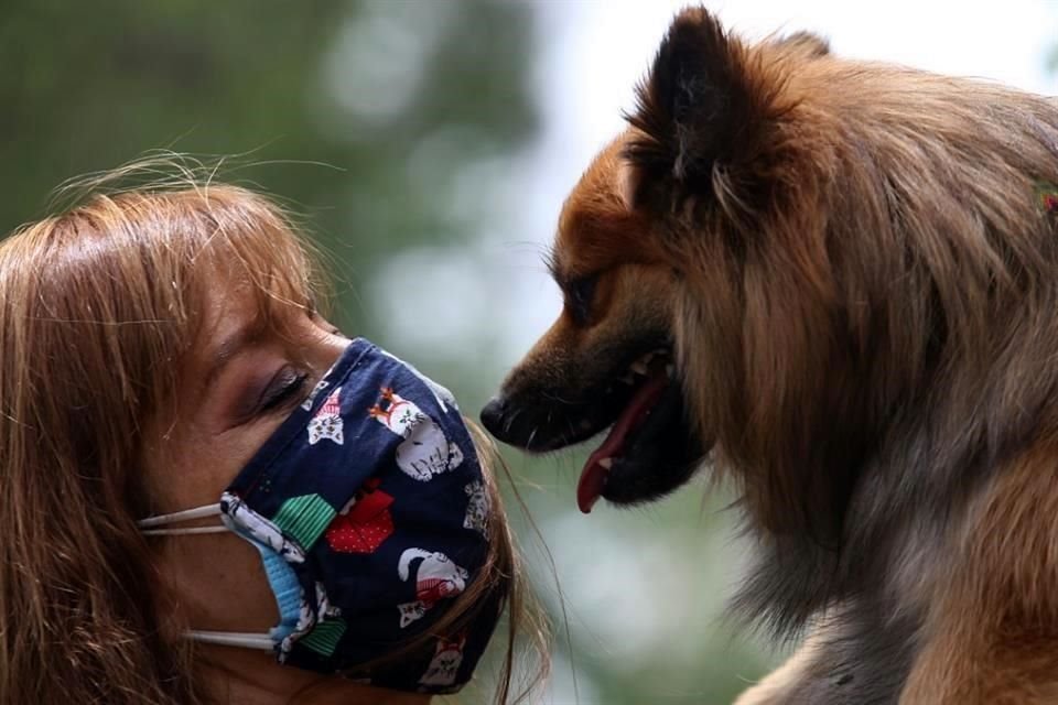 NL pretende prohibir venta de animales de compañía, a menos que hayan sido rescatados por instituciones o personas certificadas, por lo que lanzó a consulta una reforma sobre el tema.