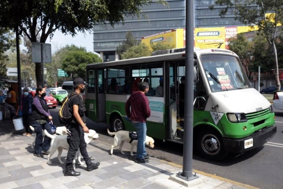 Acompaño a entrenadores de perros guía o de compañía en un recorrido de adiestramiento por el metro, un microbús, y una plaza comercial.