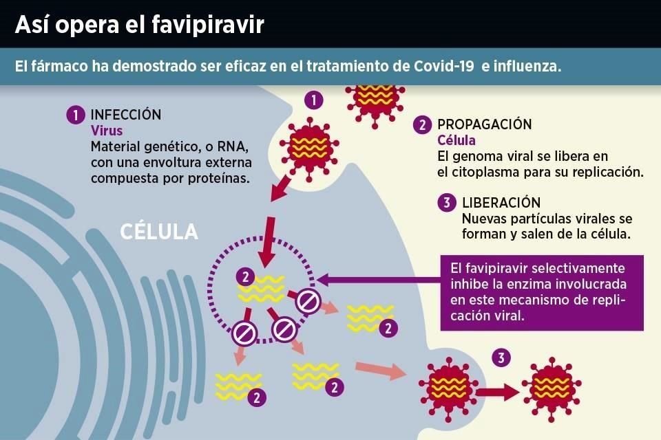 Mecanismo de acción de la nueva molécula.