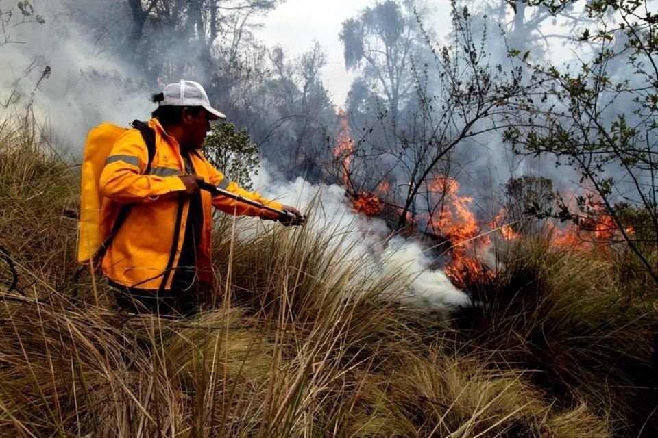 Del 1 al 26 de enero, la Capital del País sumó 28 incendios en suelo de conservación.