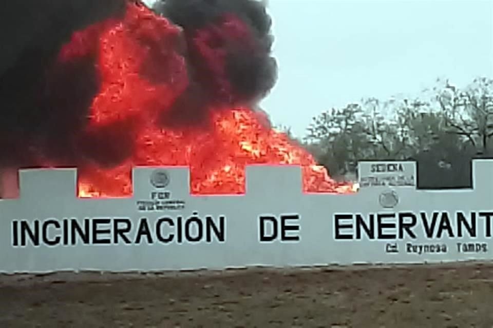 Las drogas quemadas fueron aseguradas en el mes de enero en diferentes operativos.