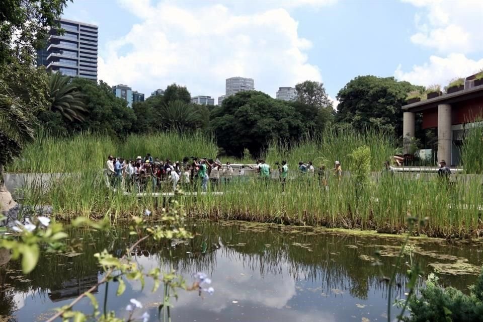 La Jefa de Gobierno, Claudia Sheinbaum Pardo, visita el Museo del Axolote y Centro de Conservación de Anfibios y Humedal ubicado en el Zoológico de  Chapultepec