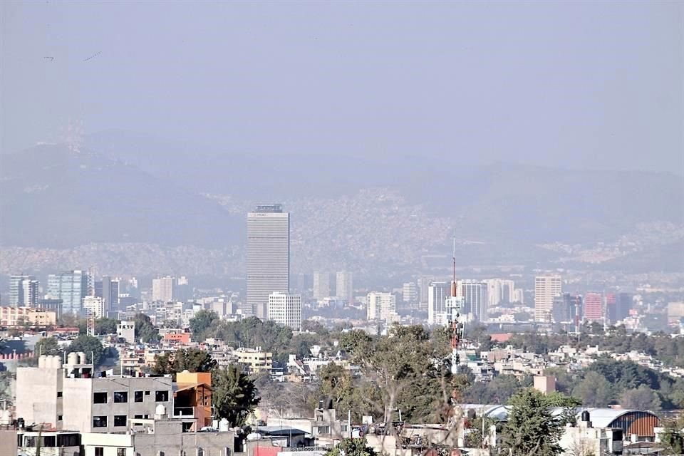 Presencia de polen desprendida de árboles causan irritaciones, tos seca, lagrimeo, estornudos, y dificultad respiratoria en capitalinos.