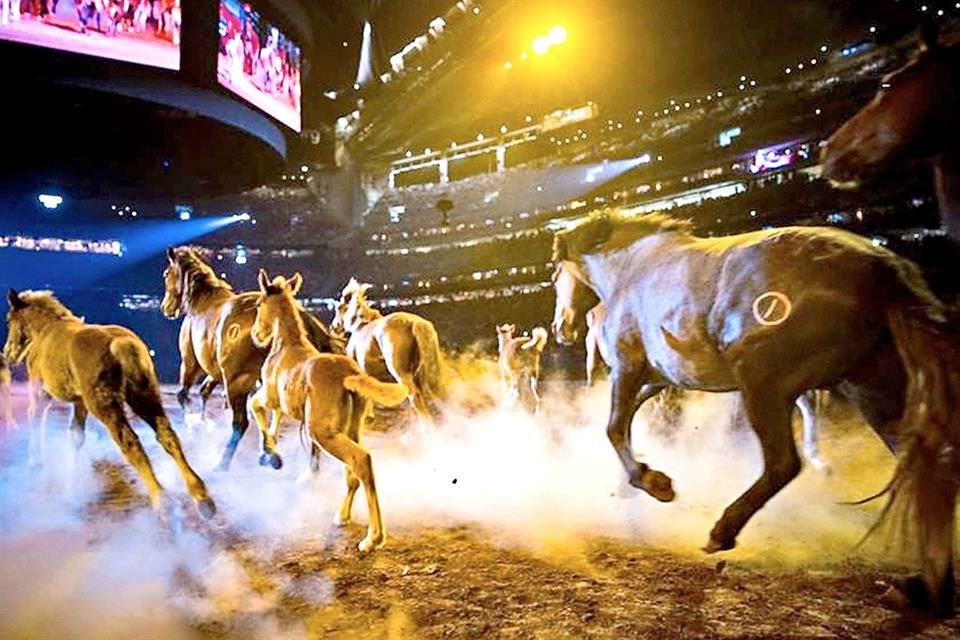 Si vas a Houston ponte vaquero y suma a tu lista de deseos el disfrutar de un sensacional y auténtico rodeo.