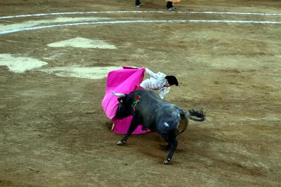 'Estamos en contra del maltrato animal', mencionó. 