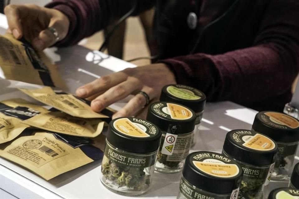 Desde el 12 de enero de 2021 México cuenta con un reglamento de cannabis, pero no se ha logrado implementar, advierten los especialistas.