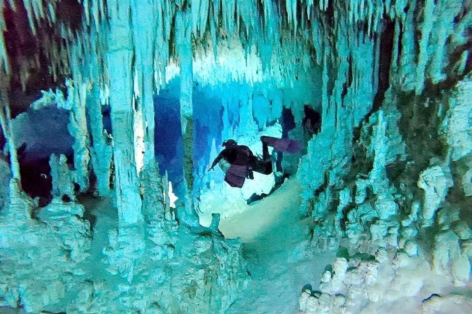 Gobierno admitió que hay cenotes y ríos subterráneos, como la Cueva Garra del Jaguar, en el tramo Tulum-Cancún del Tren Maya y la solución será un tramo elevado de 42.1 km.