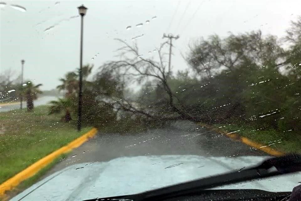 Protección Civil estatal informó que en la zona cayó una tormenta con vientos de 90 a 100 kilómetros por hora.