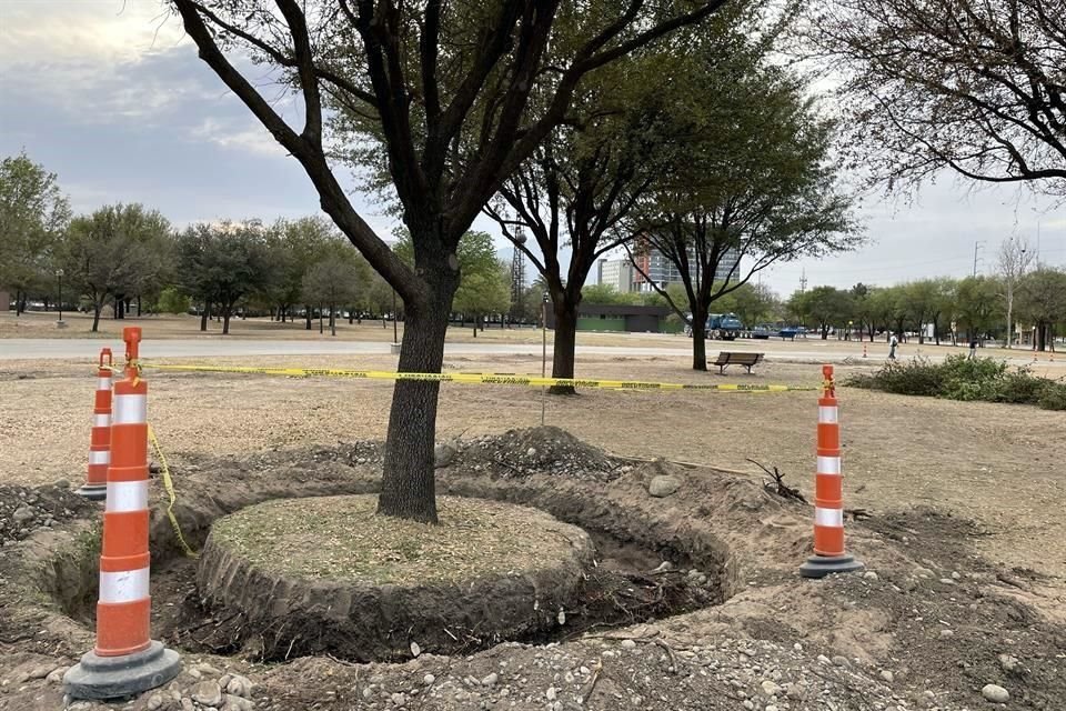 Visitantes al Parque Fundidora se sorprendieron al ver que árboles fueron retirados en un tramo del espacio recreativo.