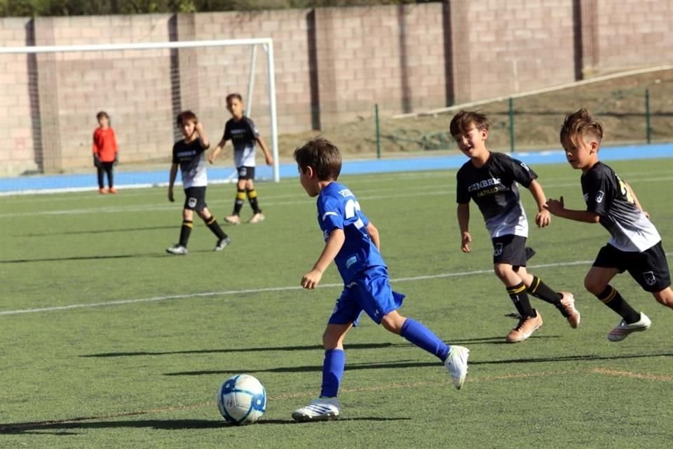 Fede Belden