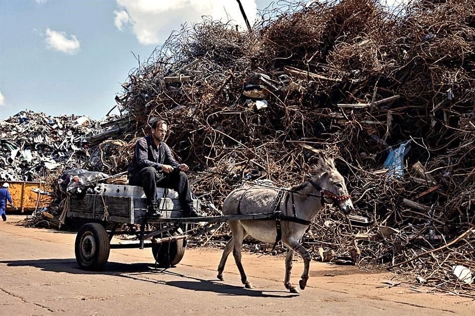 En el Festival de Cine de Cannes, la cinta ganó el Premio del Jurado, y ahora luchará por el Óscar, representando a Polonia, a Mejor Película Internacional.