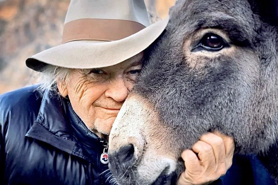 Si necesitaban que el burro cruzara un puente y el animal no quería cruzarlo, lo único que podían hacer era esperar.