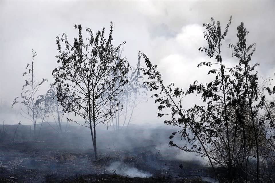 Una vez controlado el fuego, Corenader aumenta la vigilancia para evitar asedios con el fin de cambios de uso de suelo en áreas protegidas.