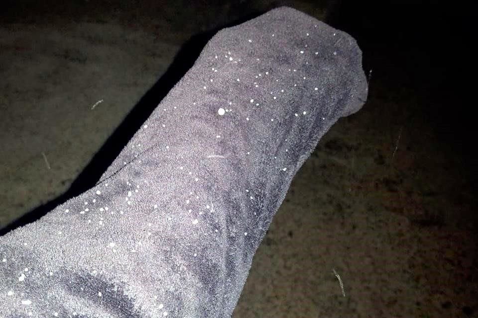 Habitantes de Santiago reportan la caída de aguanieve y temperaturas de un dígito en la Laguna de Sánchez, La Boquilla y Peñita.