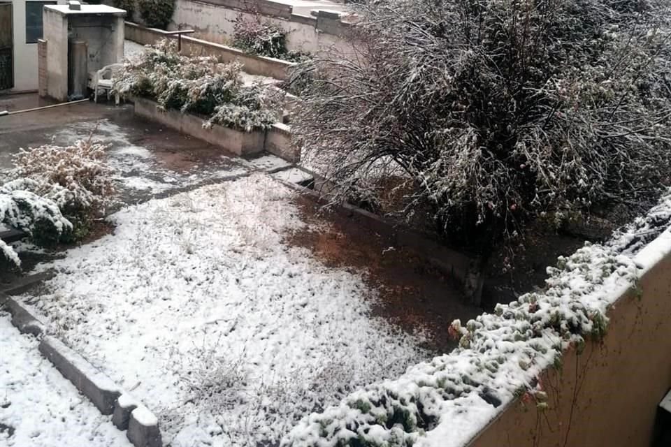 Decenas de ciudadanos que publicaron en redes sociales fotos de la nevada.