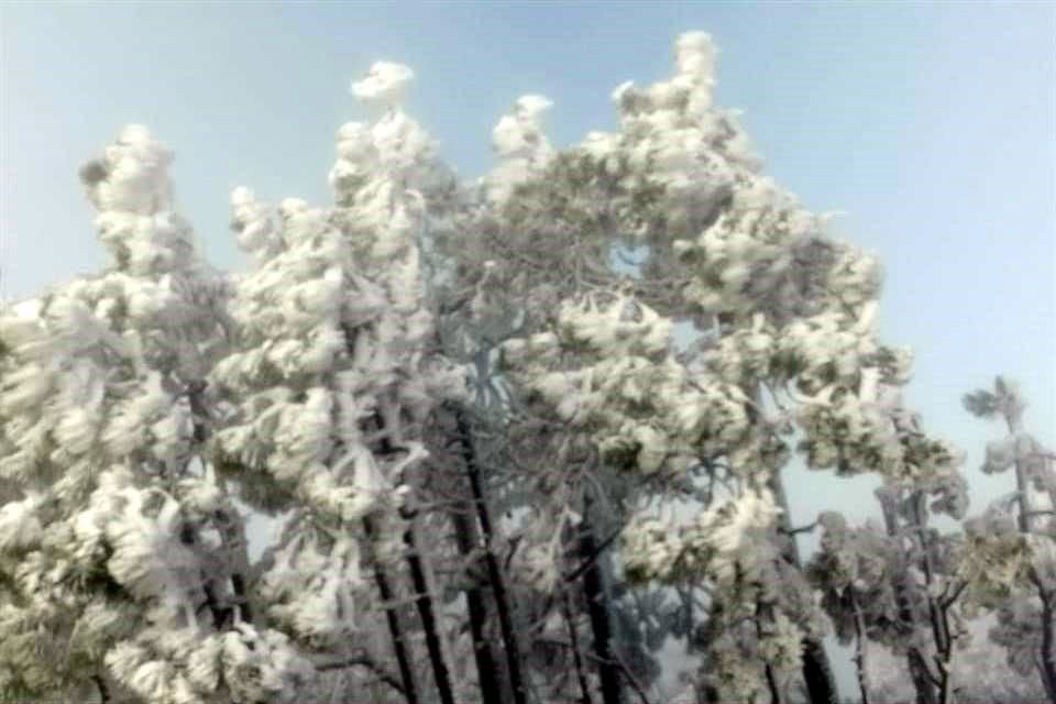 Las bajas temperaturas marcadas en las zonas altas del sur del estado, dejaron blancas postales que se apreciaron en la sierra de Iturbide y Galeana.
