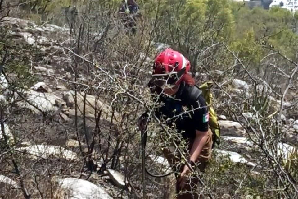 El siniestro fue reportado minutos antes de las 14:00 horas, a la altura de la Colonia Plan de San Luis.